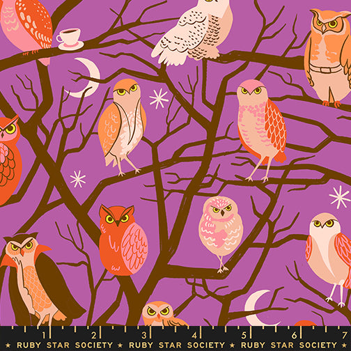 PREORDER FREAKY FAMILIARS || Who Cooks for You Witchy || Cotton Quilting Fabric