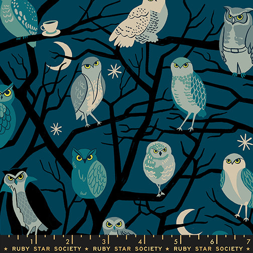 PREORDER FREAKY FAMILIARS || Who Cooks for You Galaxy || Cotton Quilting Fabric