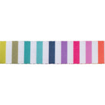 Disco Stripe Webbing - 1" width - Tula Pink Tabby Road - Half Yard