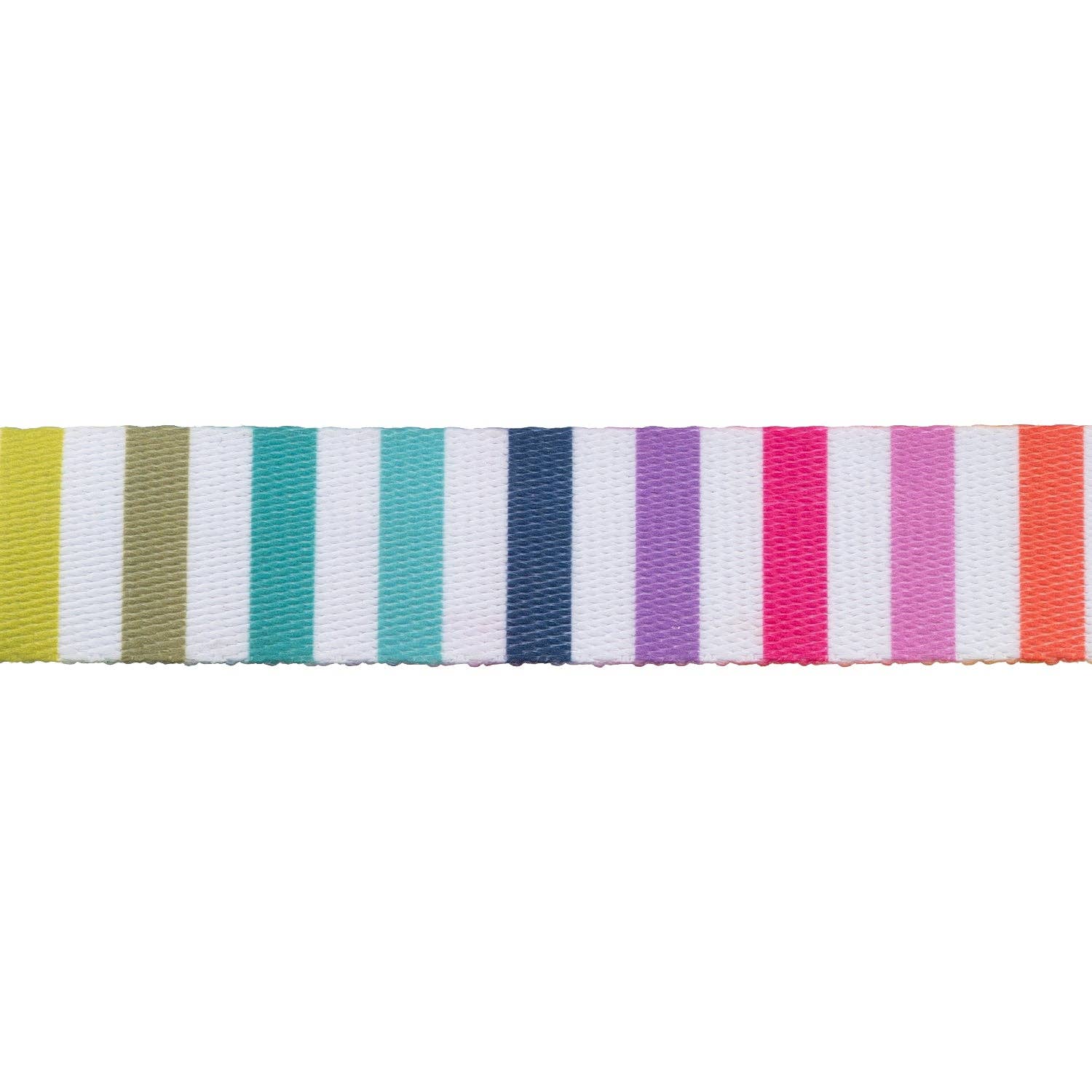 Disco Stripe Webbing - 1" width - Tula Pink Tabby Road - Half Yard
