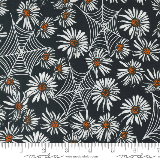 Noir || Whispering Webs Midnight and Pumpkin || Cotton Quilting Fabric