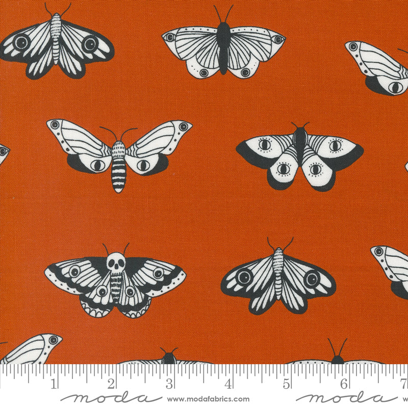 Noir || Moths Pumpkin || Cotton Quilting Fabric || Half Yard