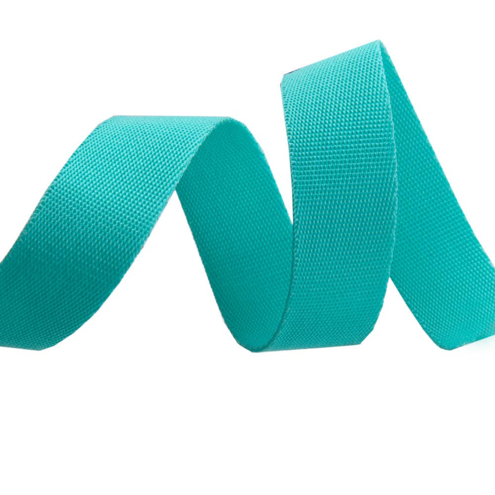 Spirit/Teal - 1" Nylon Webbing - by Tula Pink - Half Yard