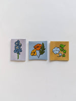 Birth Month Flowers Series 3 | Variety Label Pack