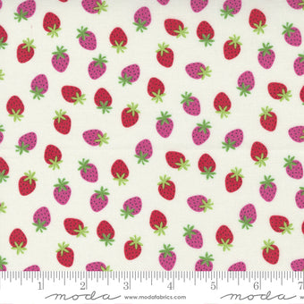 Rainbow Garden  || Berry Strawberry Cloud || Cotton Quilting Fabric 5-Yard Backing