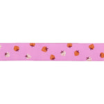 Strawberry - Strawberry Toss in Daisy - 7/8" width - by Kimberly Kight - BTY