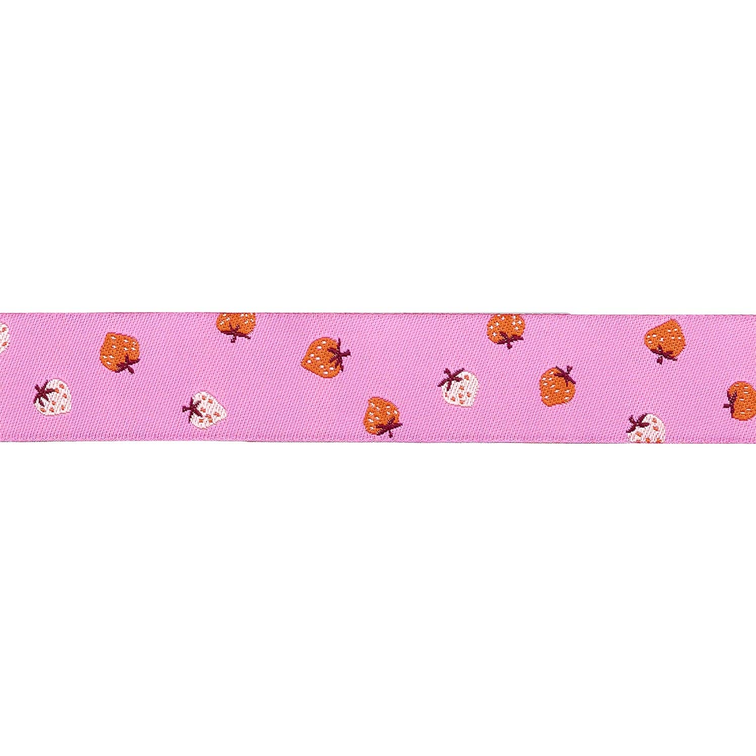 Strawberry - Strawberry Toss in Daisy - 7/8" width - by Kimberly Kight - BTY