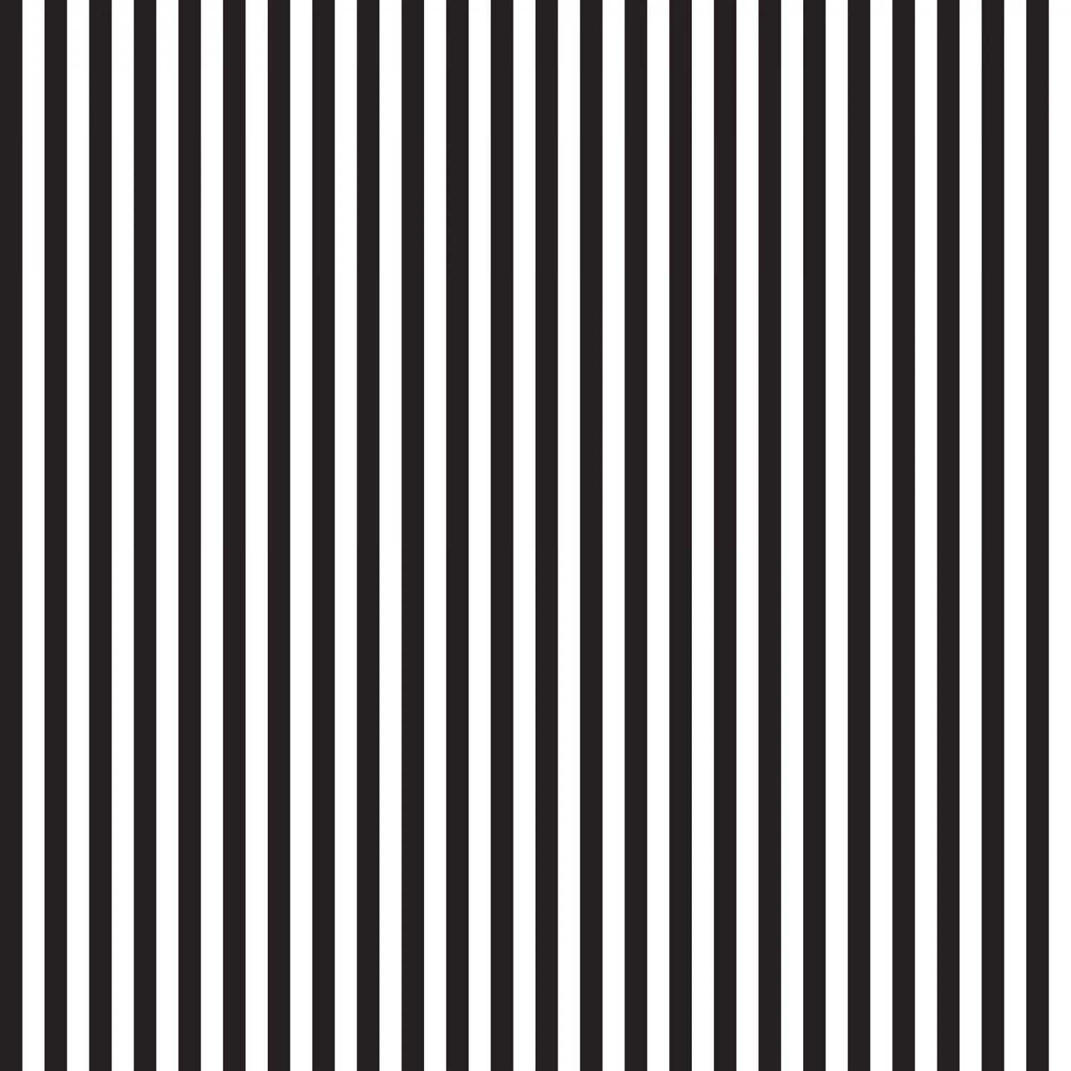 RBD Collection  || Quarter-Inch Stripe Black || Cotton Quilting Fabric