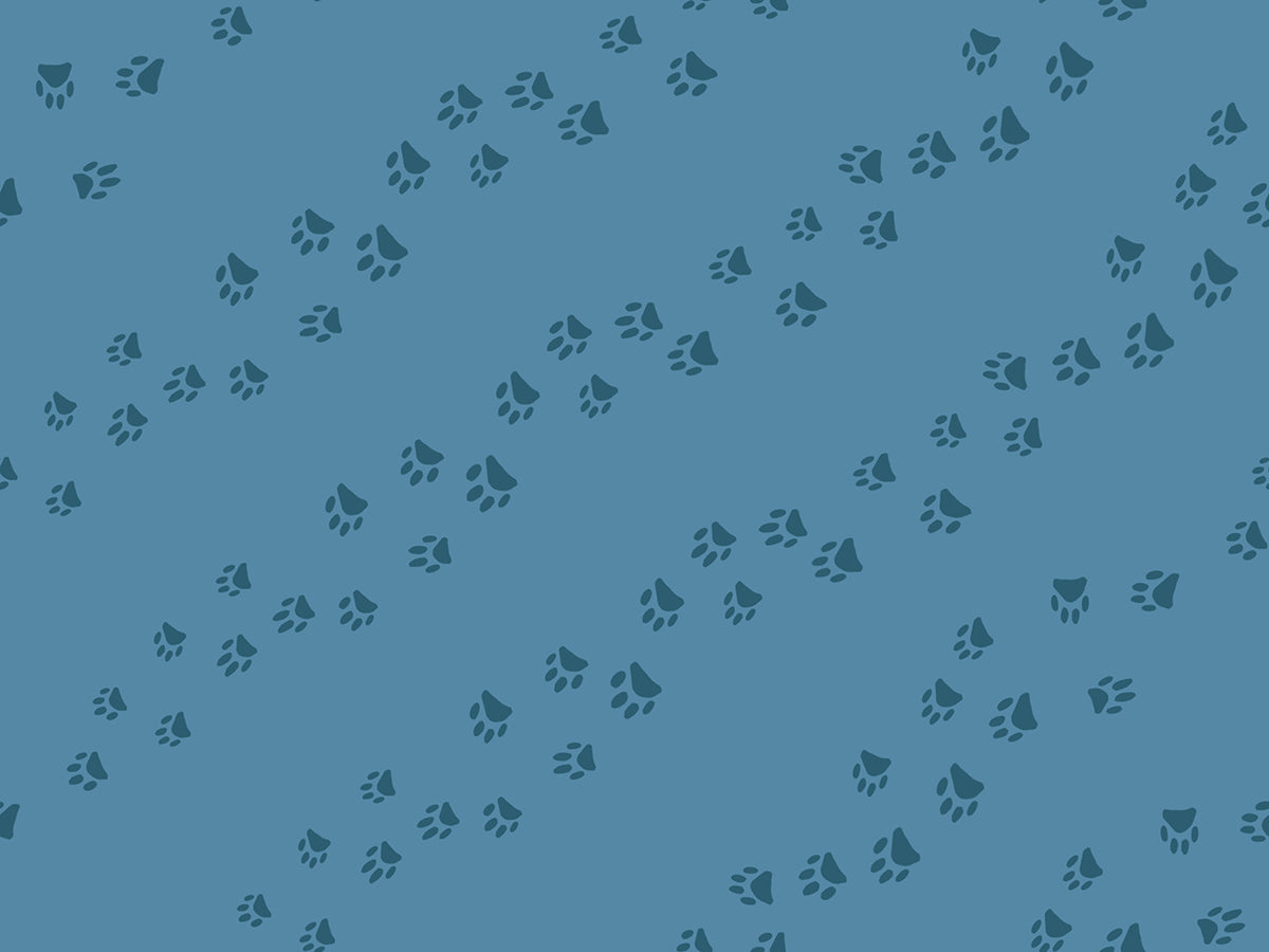 DOG PARK || Wander Paw Chambray || Cotton Quilting Fabric || Half Yard