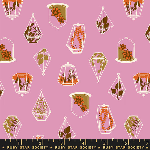 PREORDER Calathea || Terrarium Kiss || Cotton Quilting Fabric