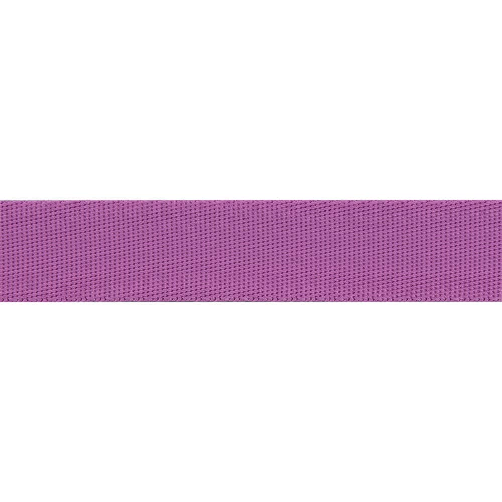 Mystic/Purple - 1" Nylon Webbing - by Tula Pink - HALF YARD