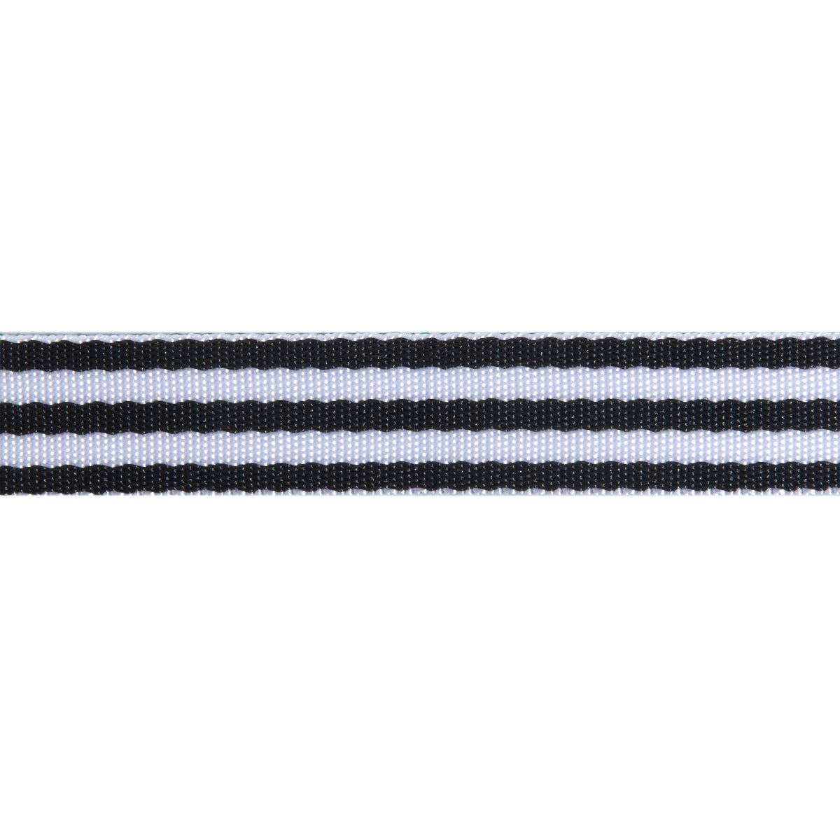 Black/White - 1" Nylon Webbing - by Tula Pink - Half Yard