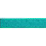 Spirit/Teal - 1" Nylon Webbing - by Tula Pink - Half Yard