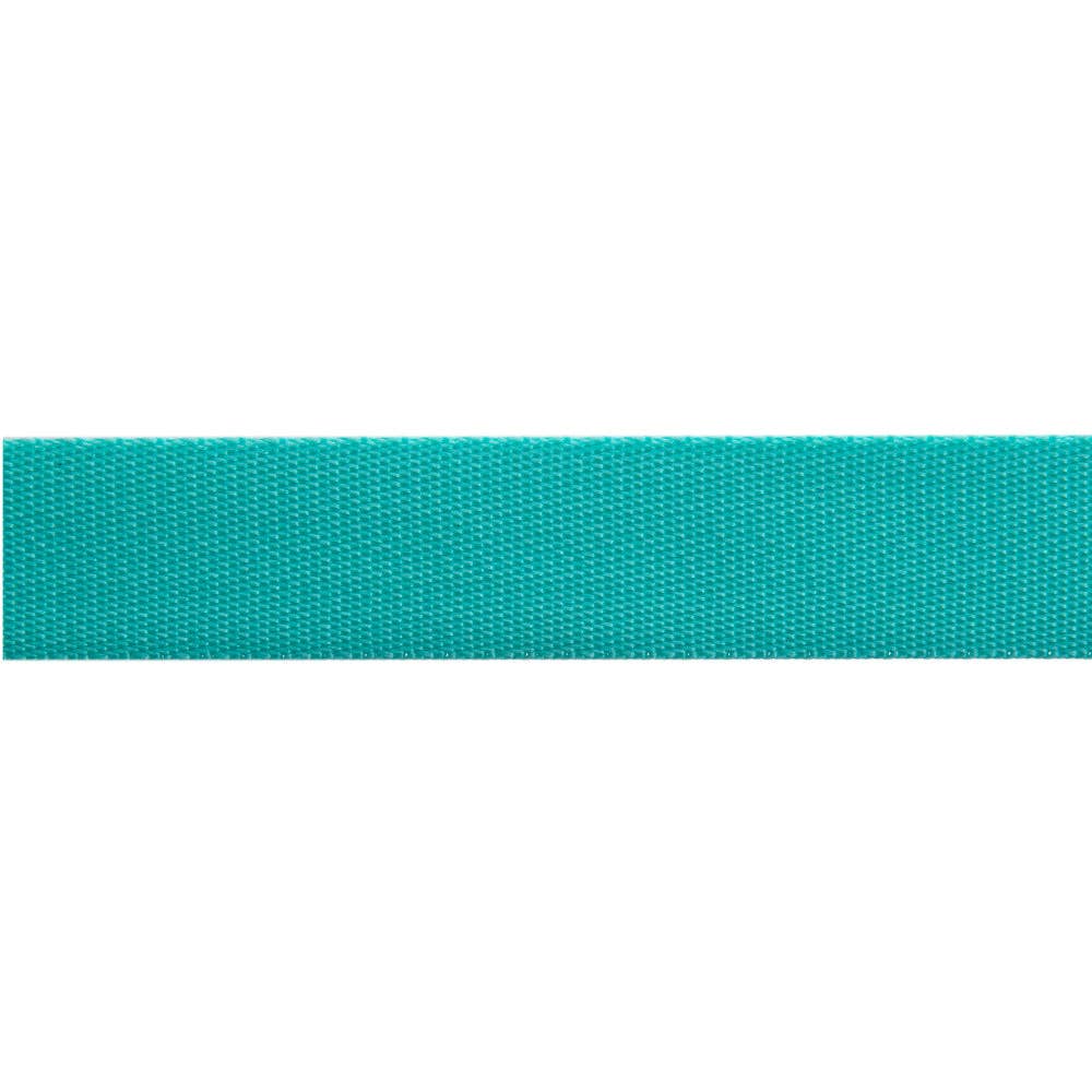 Spirit/Teal - 1" Nylon Webbing - by Tula Pink - Half Yard