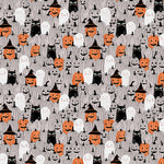 Starlight Spooks || Pumpkin Patch || Cotton Quilting Fabric