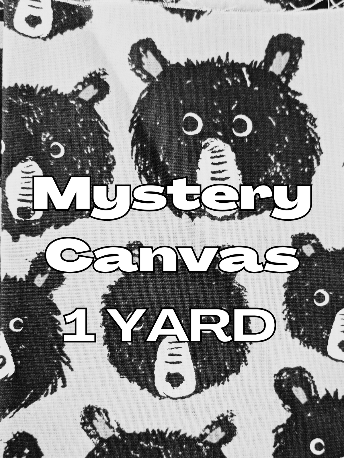 Mystery Canvas: 1 YARD CUT